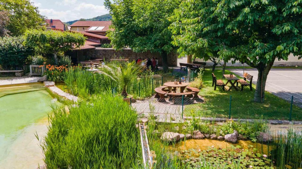 Hotel Gut Wildberg Mit Badeteich Meißen