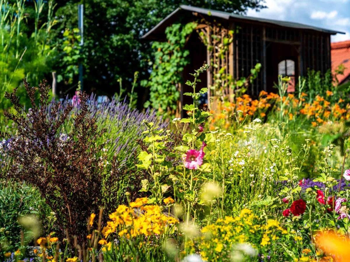 Hotel Gut Wildberg 3*