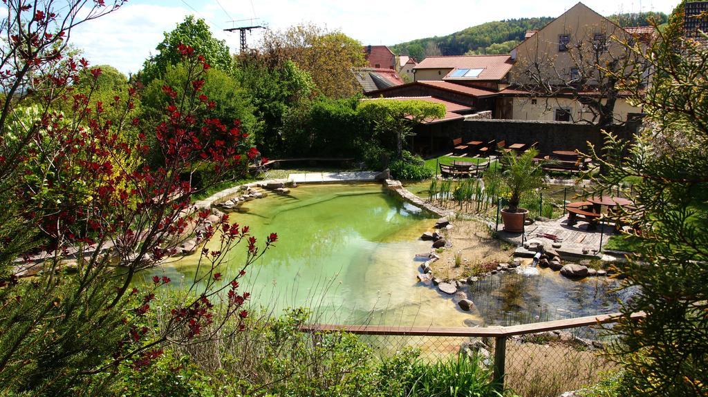 Hotel Gut Wildberg Mit Badeteich Meißen